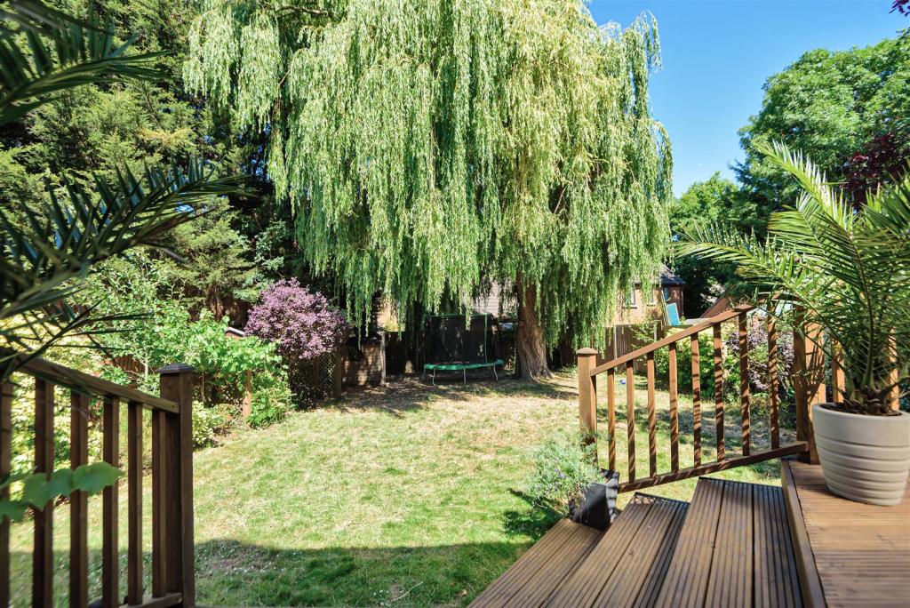 Garden.jpg