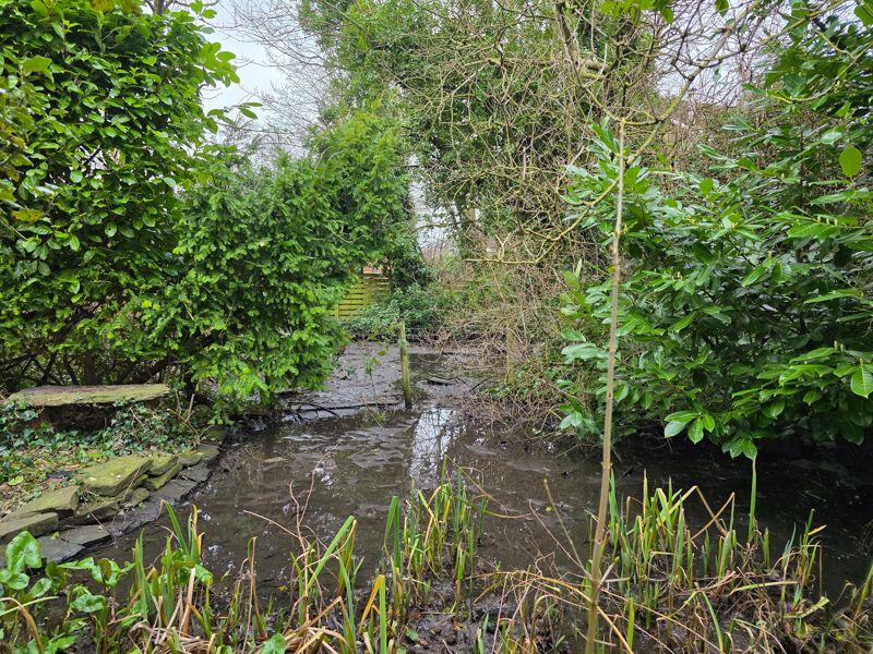 Water Feature