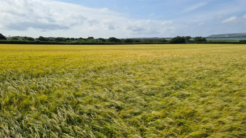 2023-07-13 15.58.46.jpg