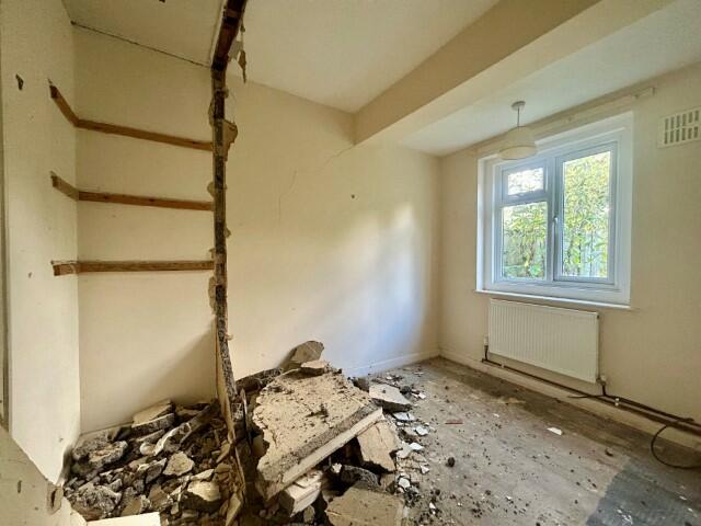 7 (Small) T202409301040.jpg