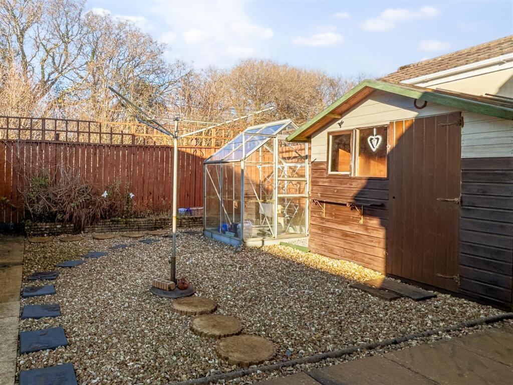 backyard1_2.jpg