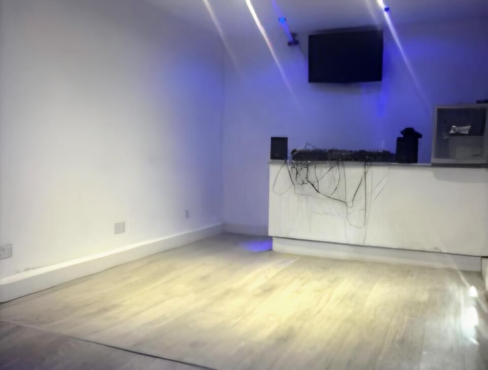 Summer House/Party Room