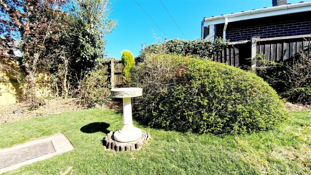 Bird Bath