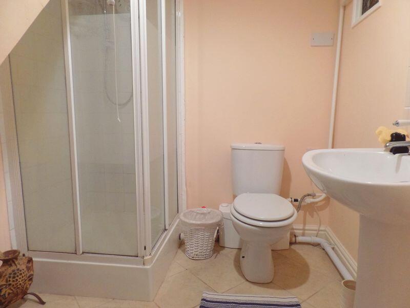 Basement Shower Room