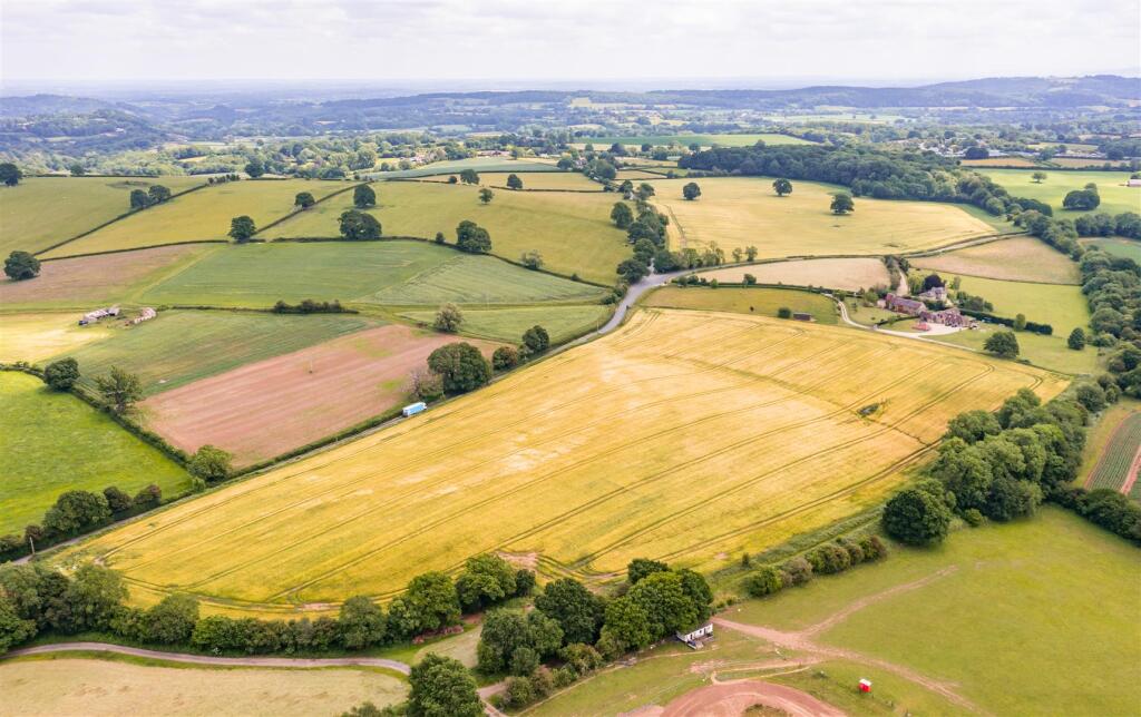 DJI_0687.jpg