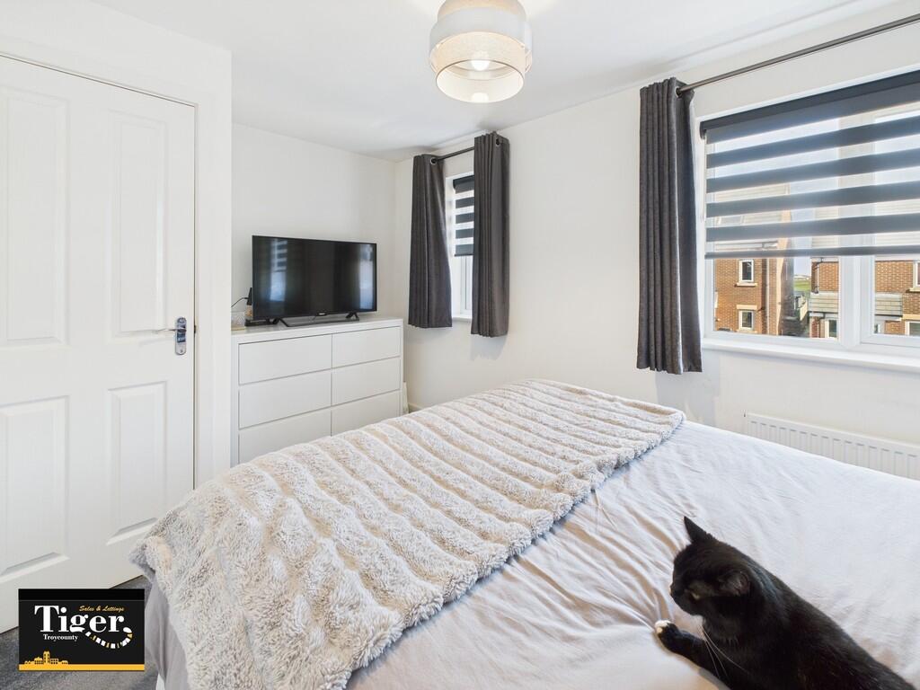 CAM02176G0-PR0519...