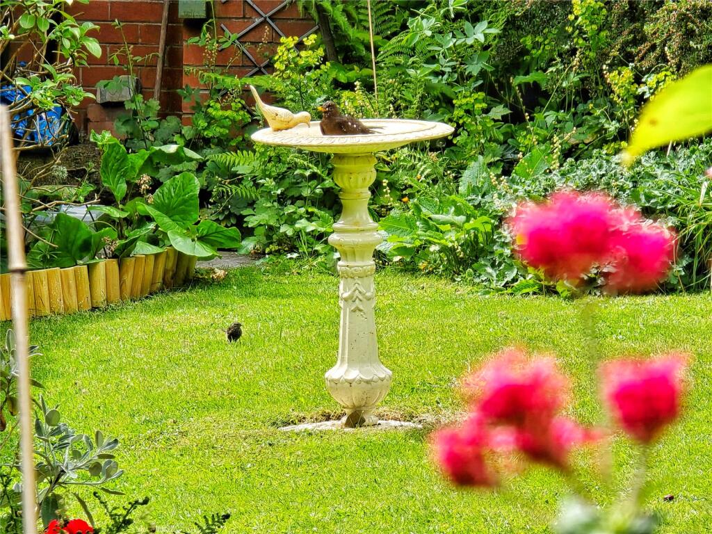 Bird Bath