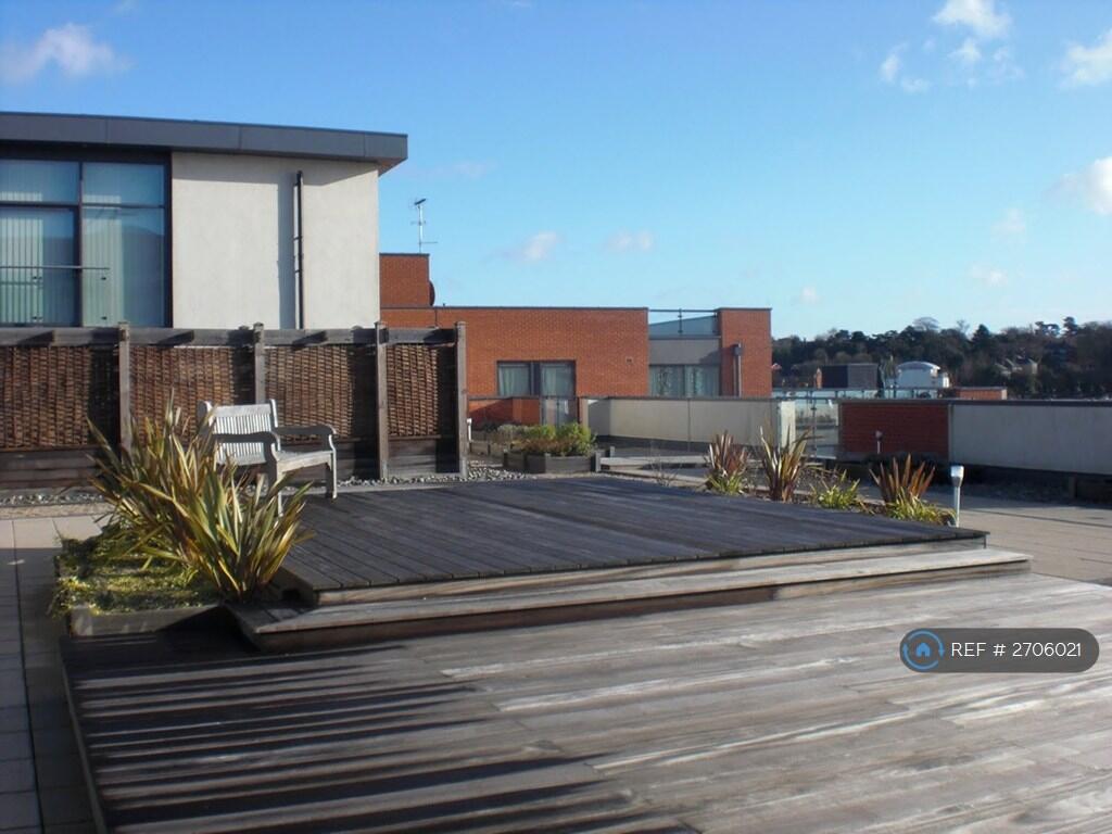 Roof Garden