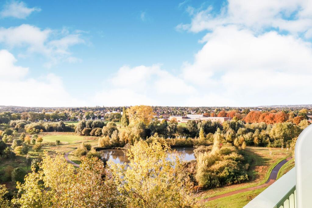 Panoramic View