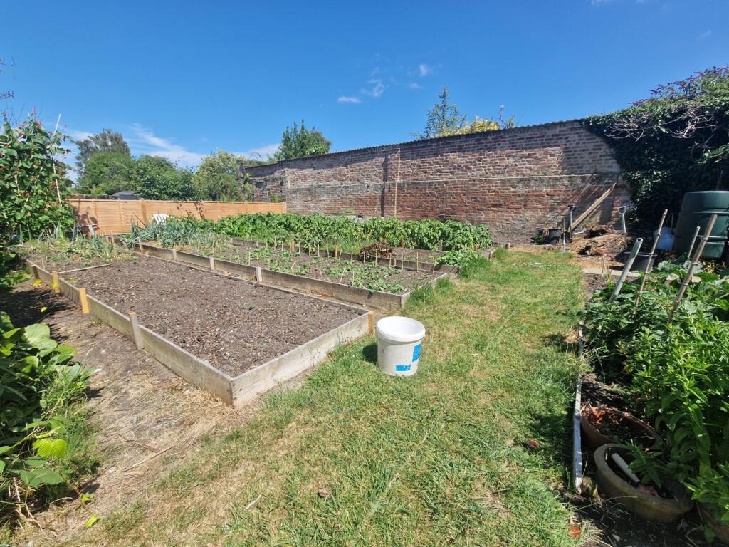 Vegetable Garden