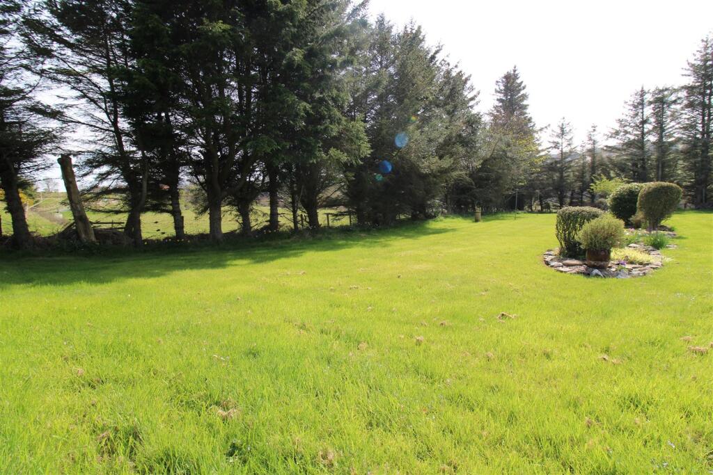 FRONT GARDEN (5).JPG