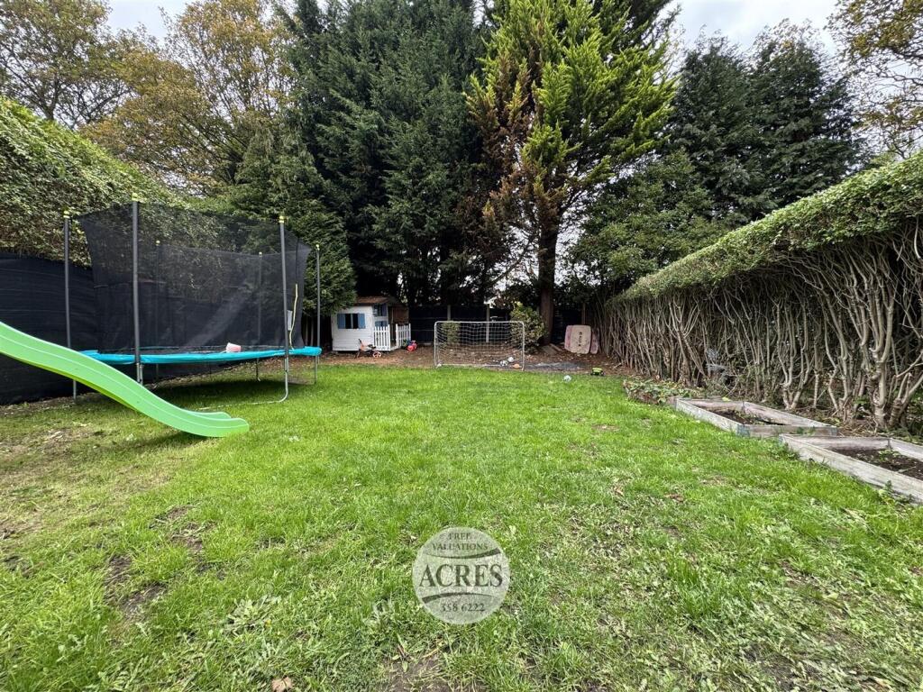 IMG_2580 (Large).jpg