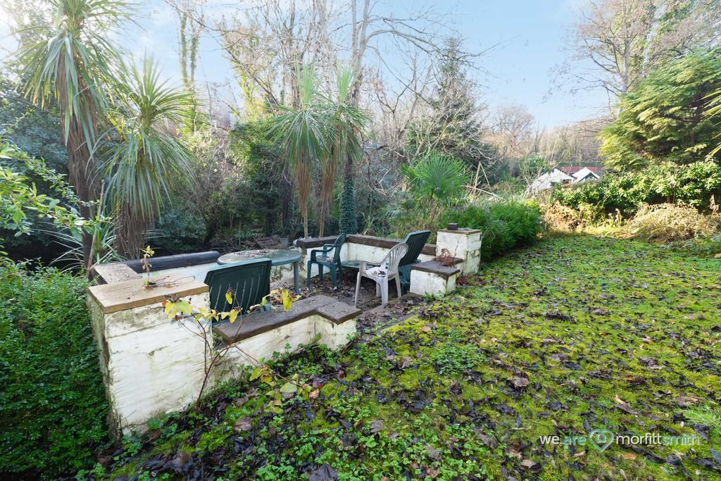 Back Garden