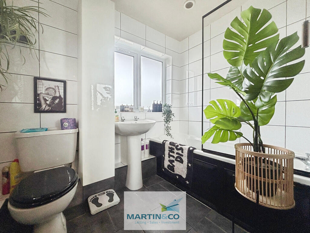 90e1aceb--4B5E-95...