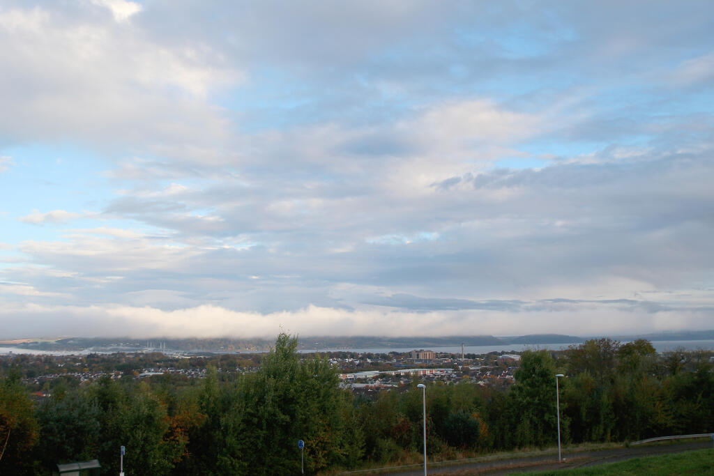 view