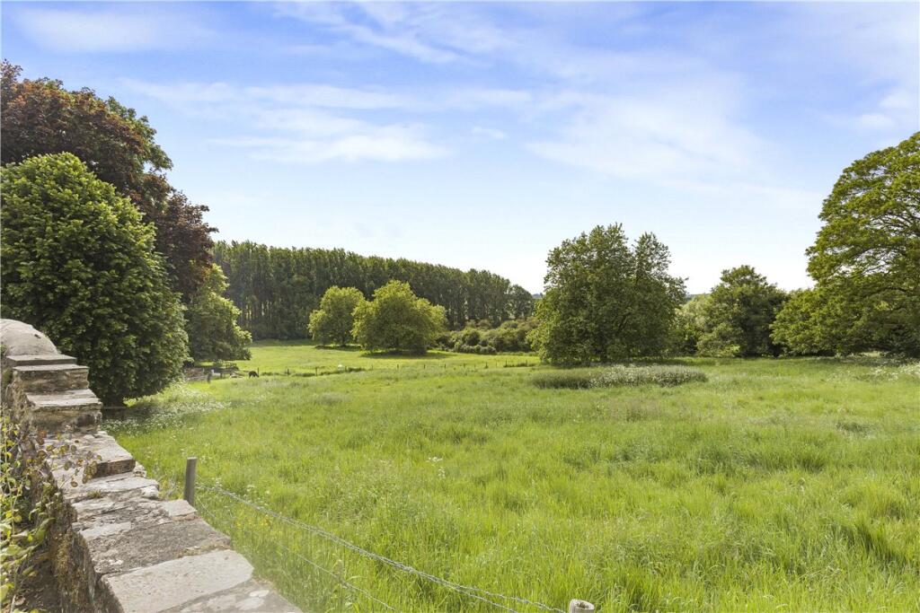 View From Garden