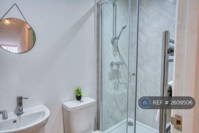 Bathroom 1 - Toilet, Sink, Large Shower