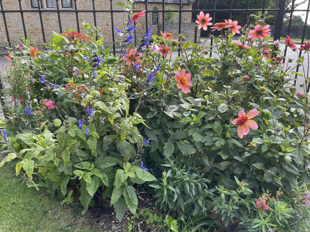 image00003.jpeg