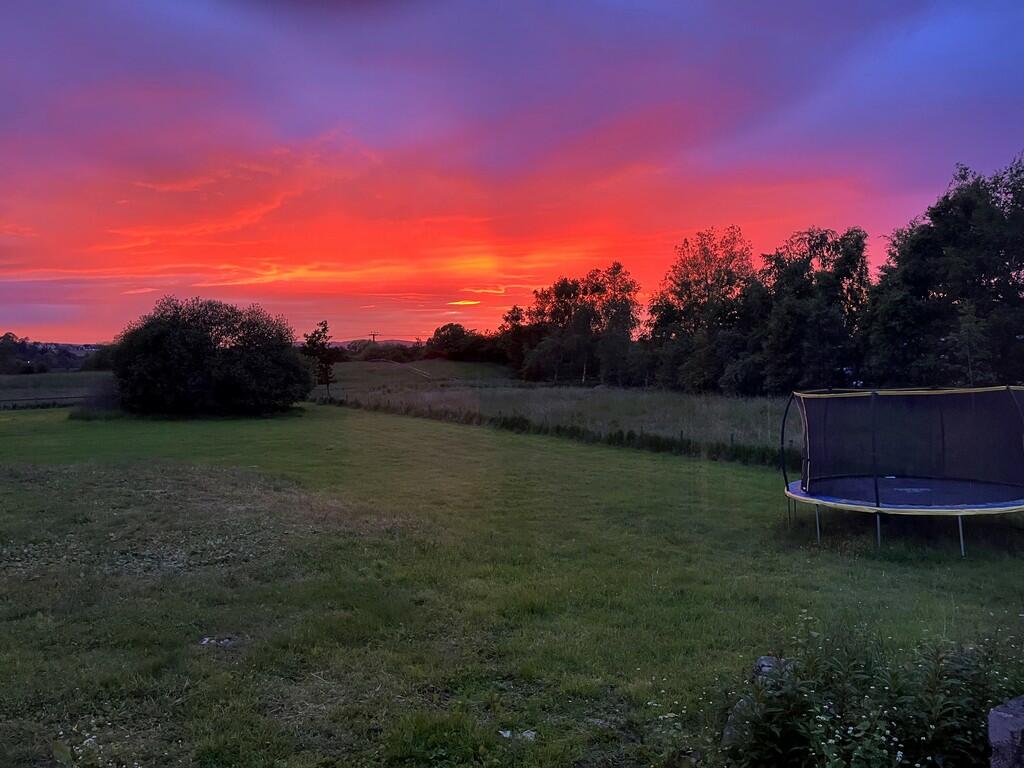 Vendor Sunset Pic...