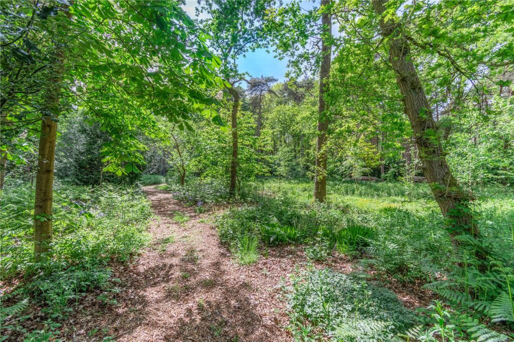 Woodland