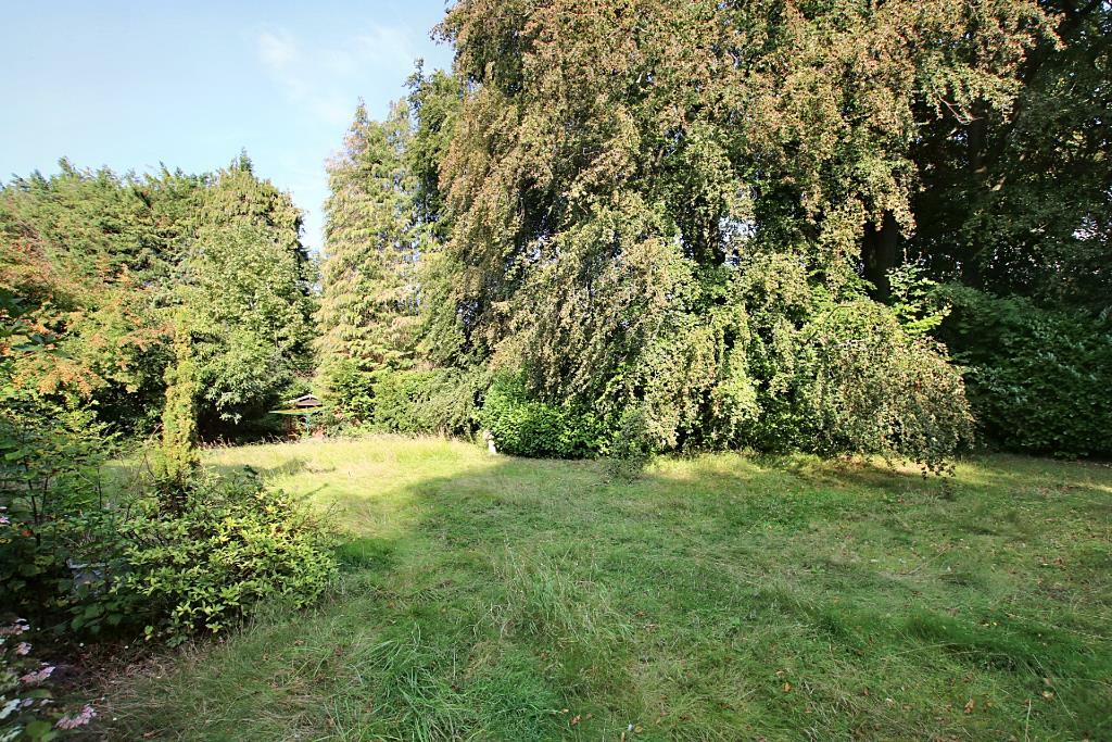 garden (Portal Size).JPG