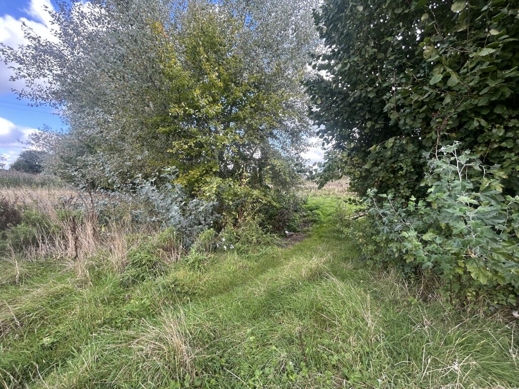 IMG 9235 T202509231054.jpg