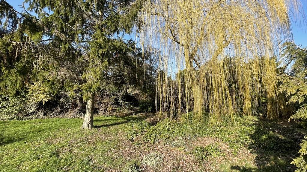 Garden 1.JPG