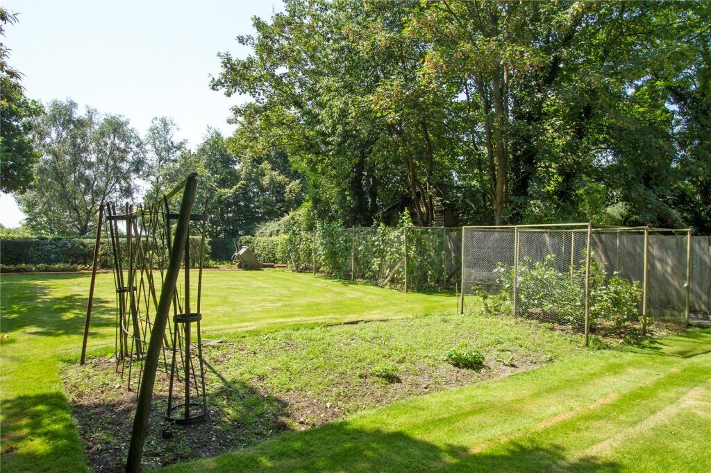 Vegetable Garden