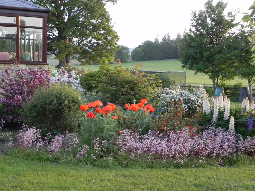 DSCN2729.JPG