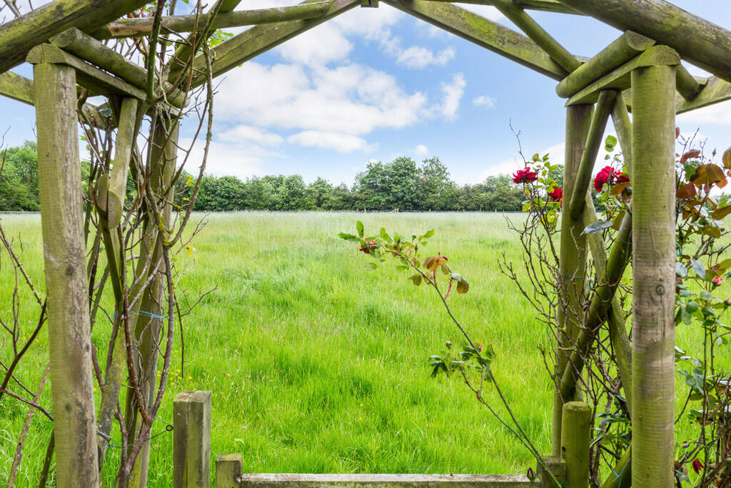 71431_The-Dairies...