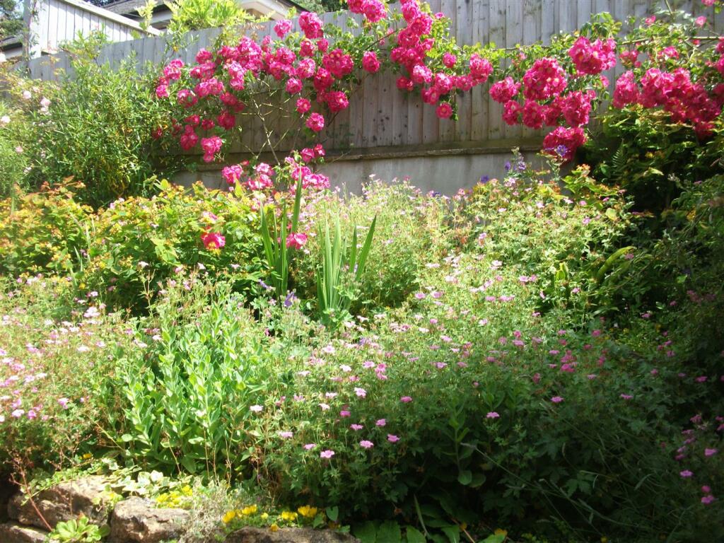 Hillside Cottage June 2019 (74).JPG