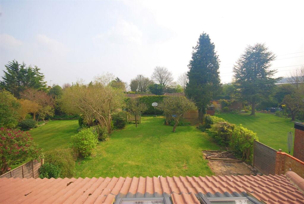 rear garden.jpg