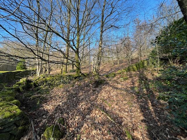 Image025 T202502181007.jpg