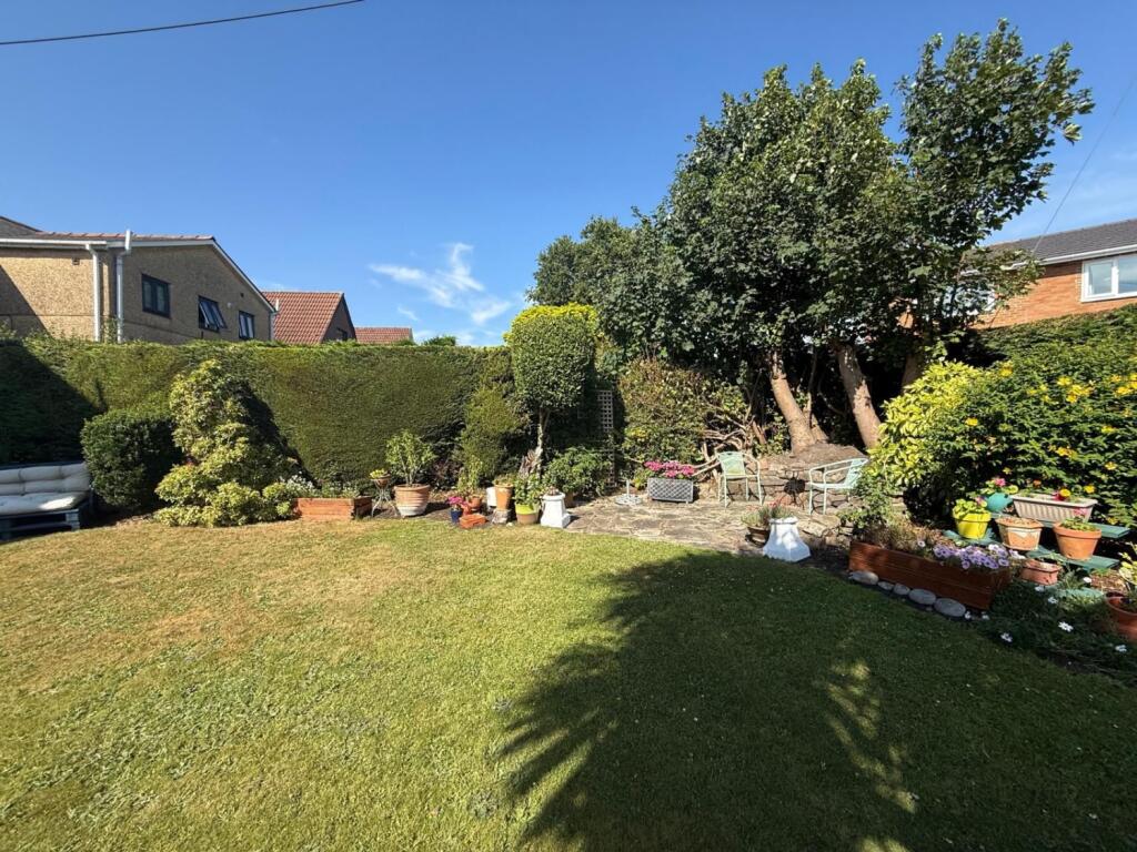 PHOTO-2025-07-08-08-04-49 5