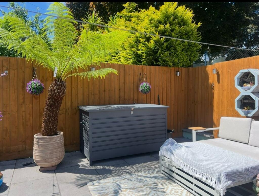 Photos from the summer