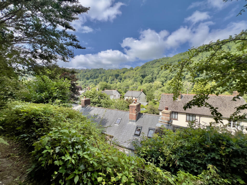 View from garden
