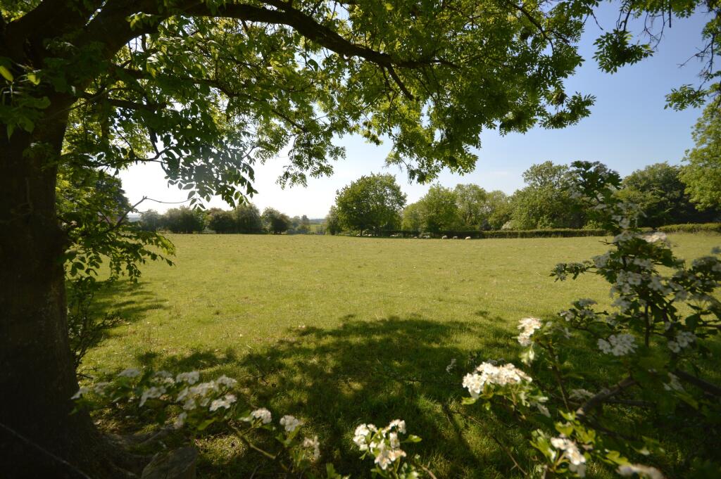 PADDOCK LAND