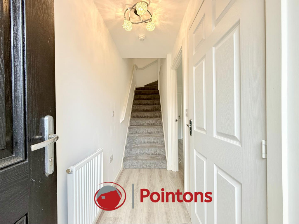 Logo image  (13).png