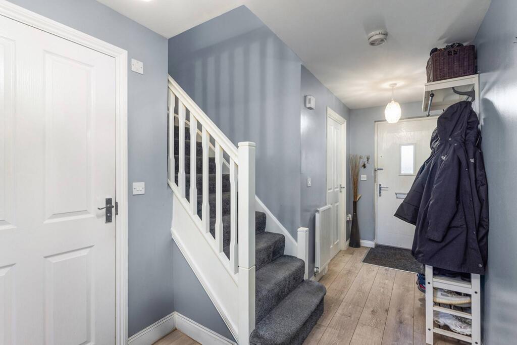 MFL9241879_813.jpg