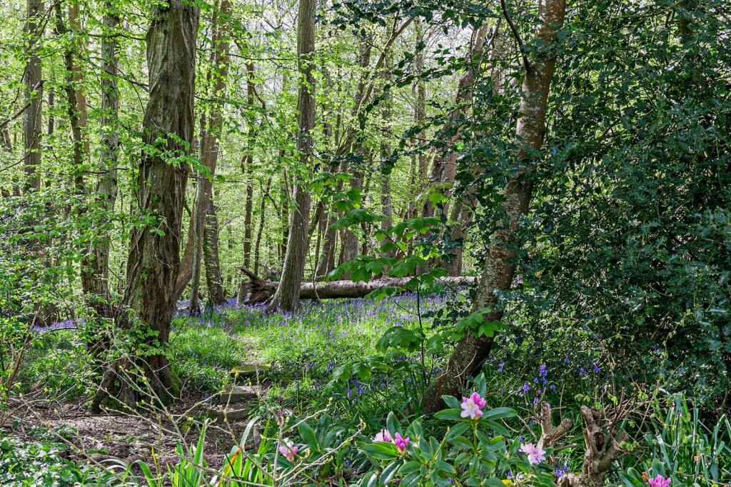 Private Woodland