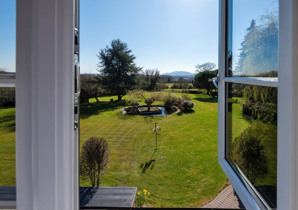 View From Bedroom