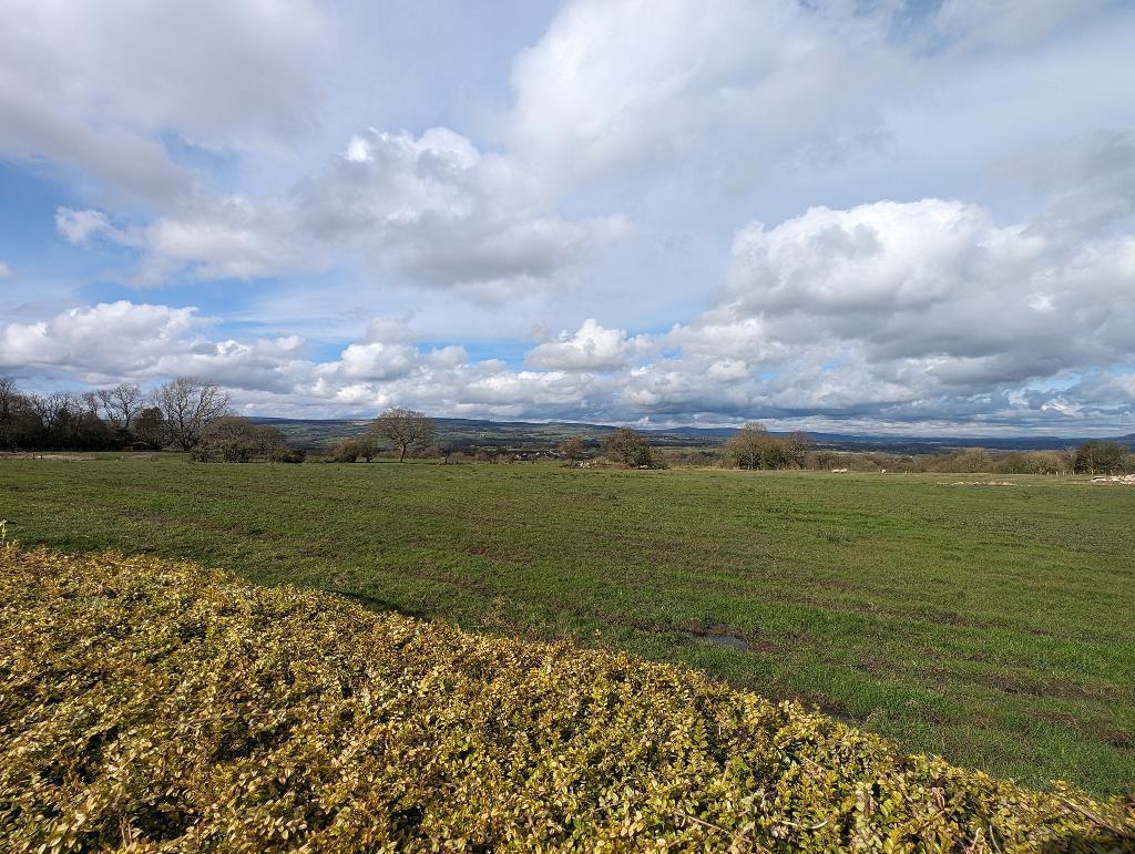 Ribchester Road, Clayton le Dale, BB1 9EE