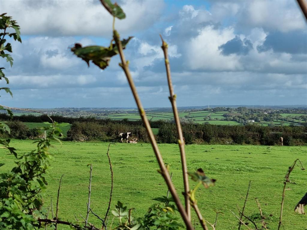 Field Views