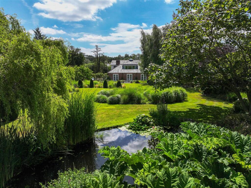 Pond : Garden.jpg