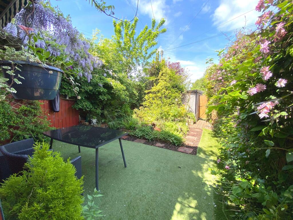 Garden at Back
