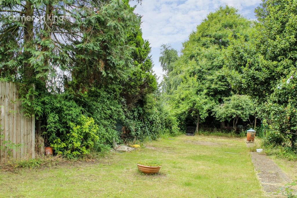 rear garden.jpg