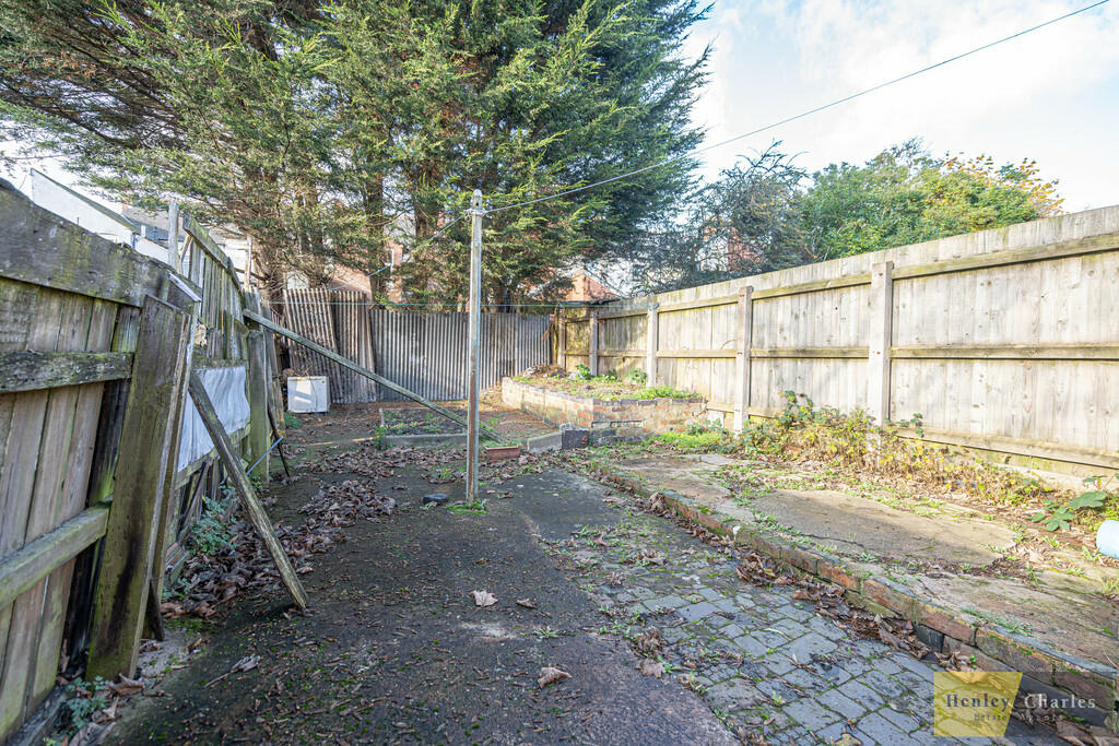 20241114-DSC01311...