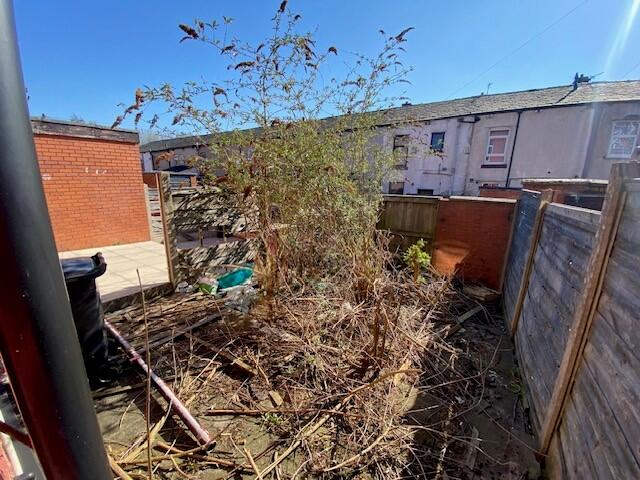 REAR YARD T202503281511.jpg