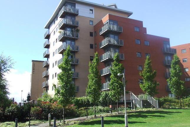 81740528294ccdaa8701f18e1c3af192e18f27cb_645_430.j