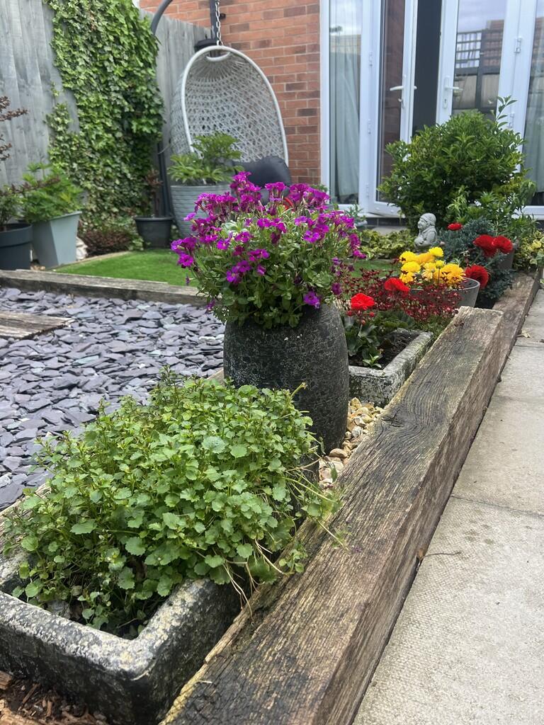 garden 2